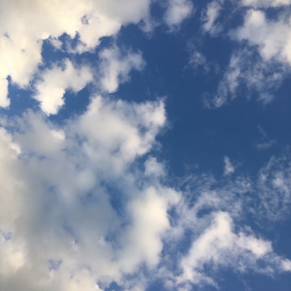 Meet your Posher, Adrianna - Picture 1 of 1